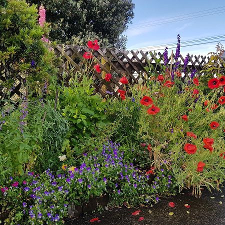 The Green House B&B Whitianga Exterior foto