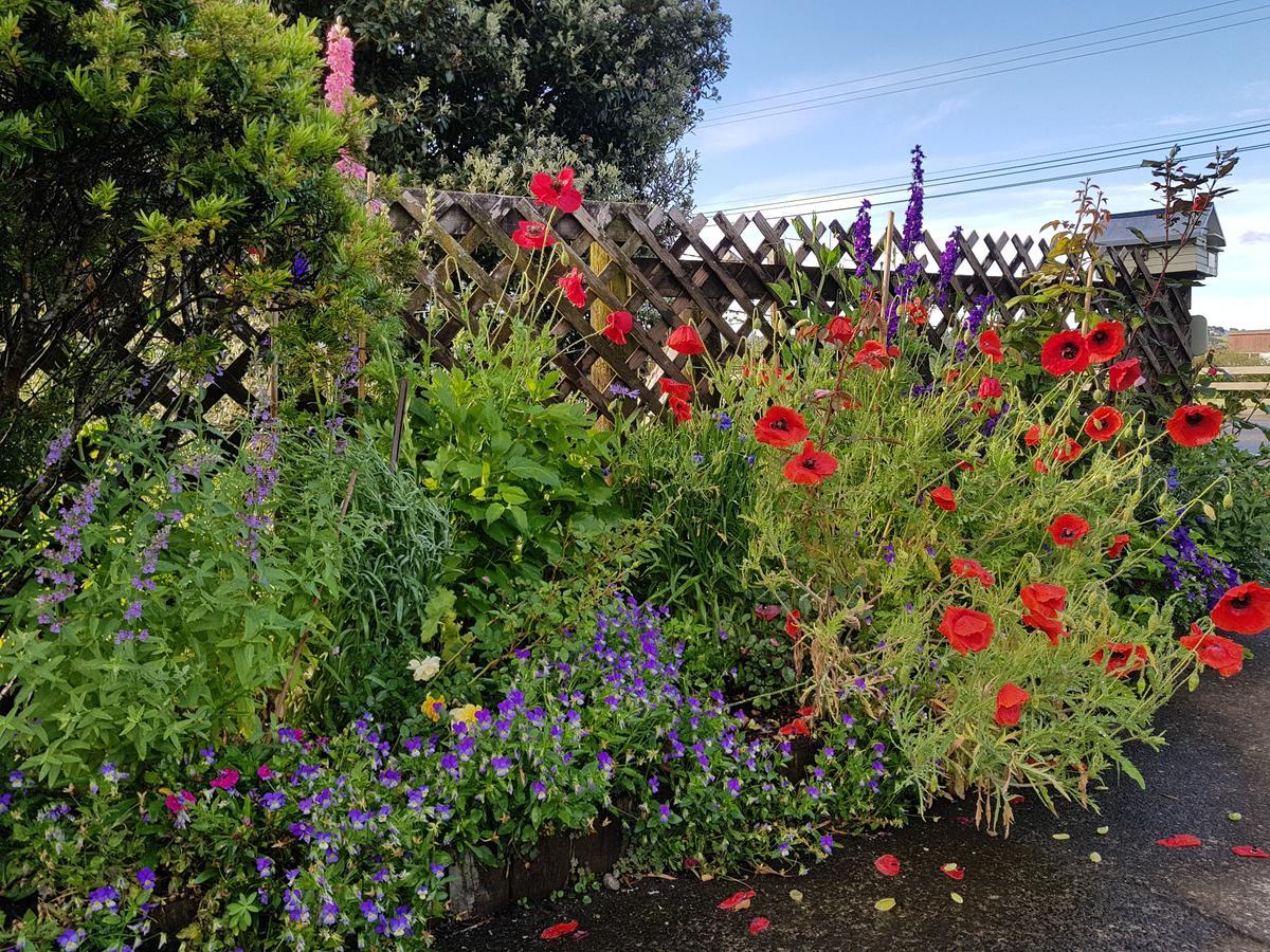 The Green House B&B Whitianga Exterior foto