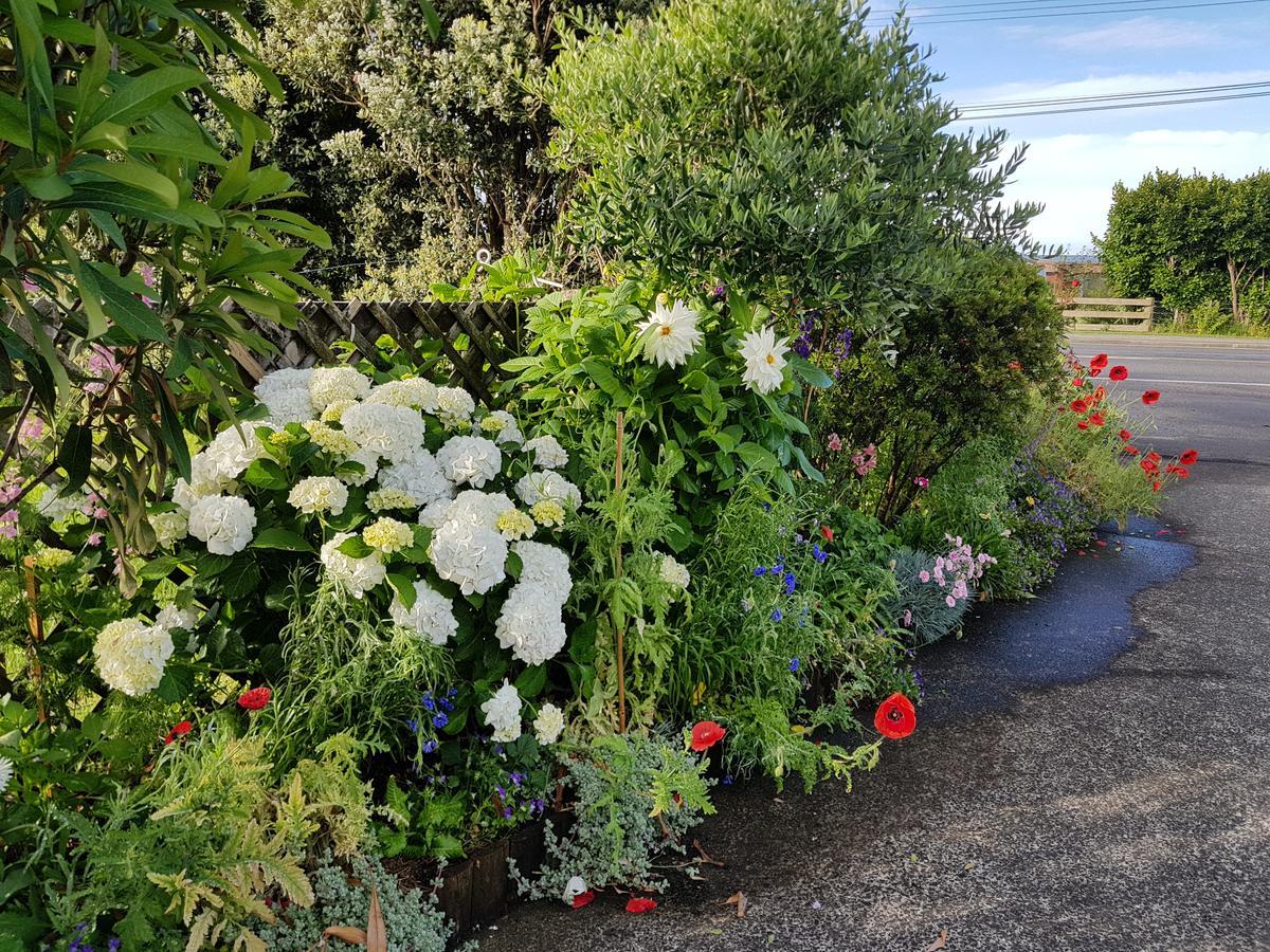 The Green House B&B Whitianga Exterior foto